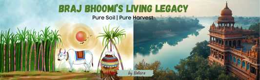 Braj Bhoomi: The Timeless Legacy of Healthy Farming and Pure Food