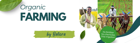 🌾 Why Organic Farming is the Need of the Hour for India