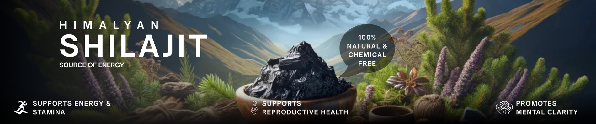 Himalyan Shilajit