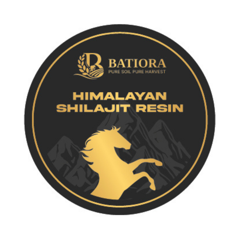 Himalayan Shilajit Resin