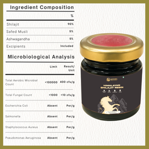 Himalayan Shilajit Resin