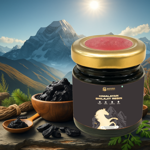 Himalayan Shilajit Resin